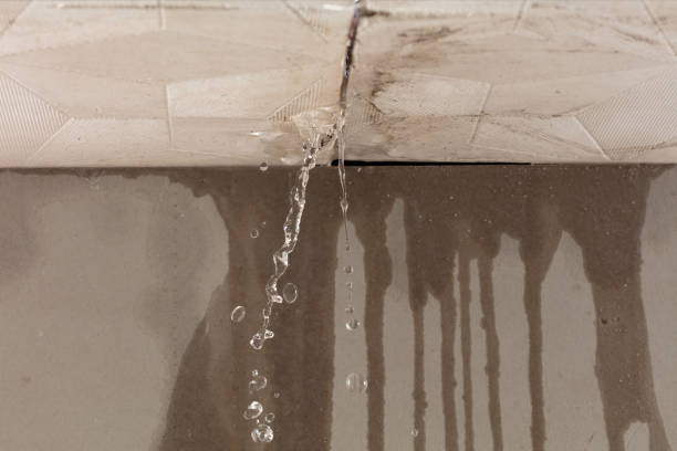 Professional Structural Drying technician working in Rock Creek, OH